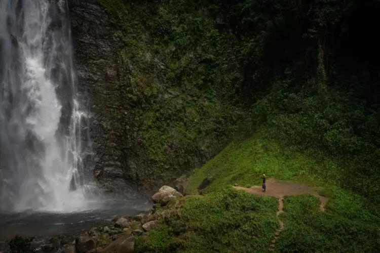 Cascade au cœur de la forêt tropicale en Amazonie péruvienne