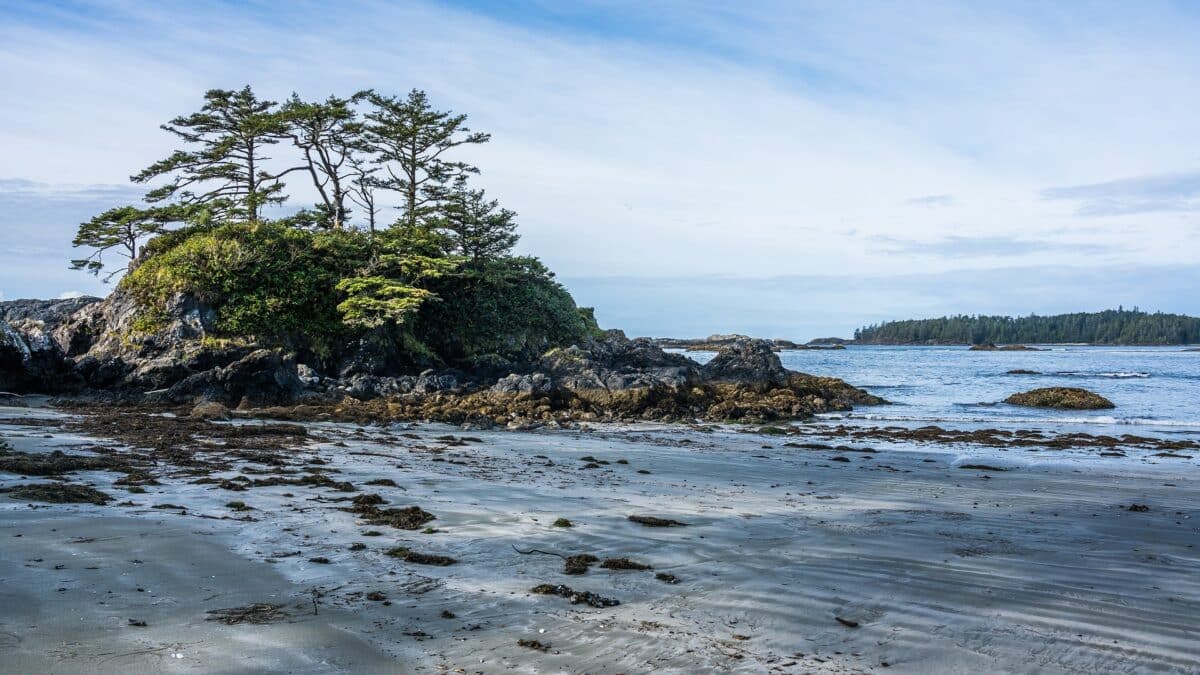 découverte du canada de l'ouest en voiture tofino