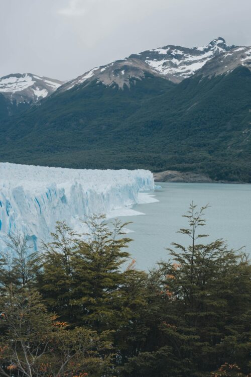 découverte glacier petit moreno argentine
