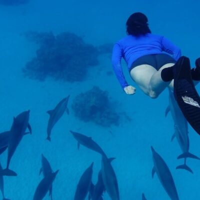 Témoignage d'un séjour bien-être en Mer Rouge : lagon enchanteur, nage avec les dauphins et ateliers transformateurs