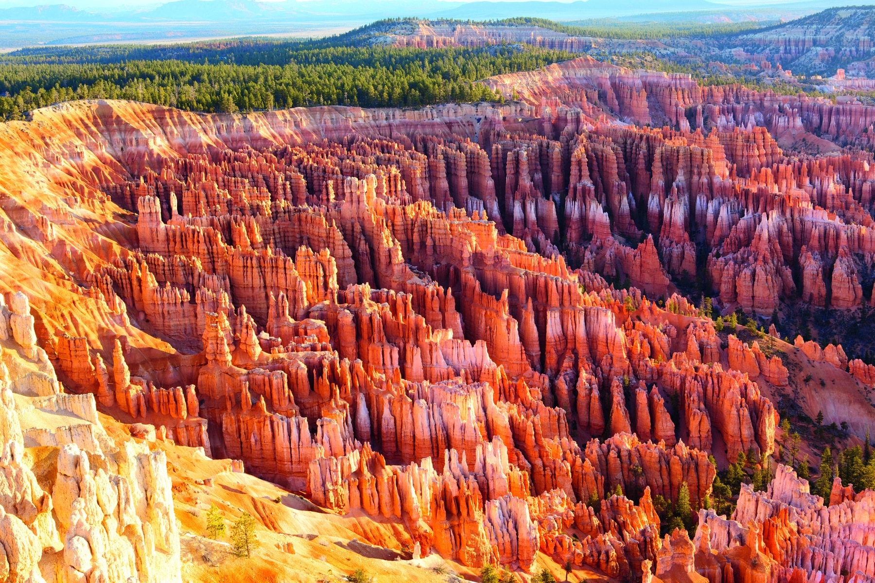 amphitheater,from,inspiration,point,at,sunrise,,bryce,canyon,national,park,
