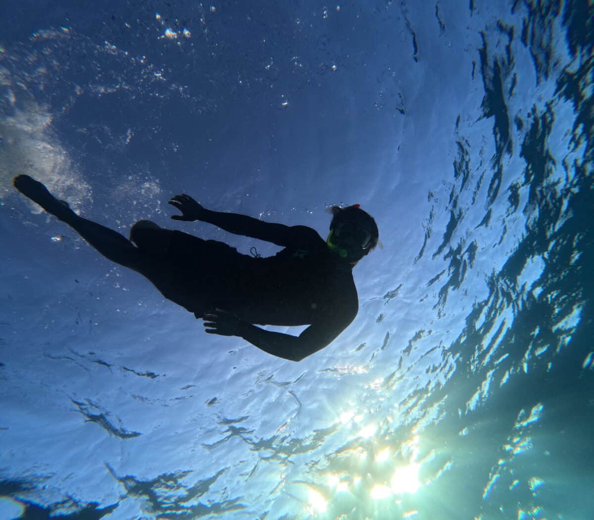 Surfeur en combinaison explorant le monde sous-marin clair et lumineux en snorkeling.