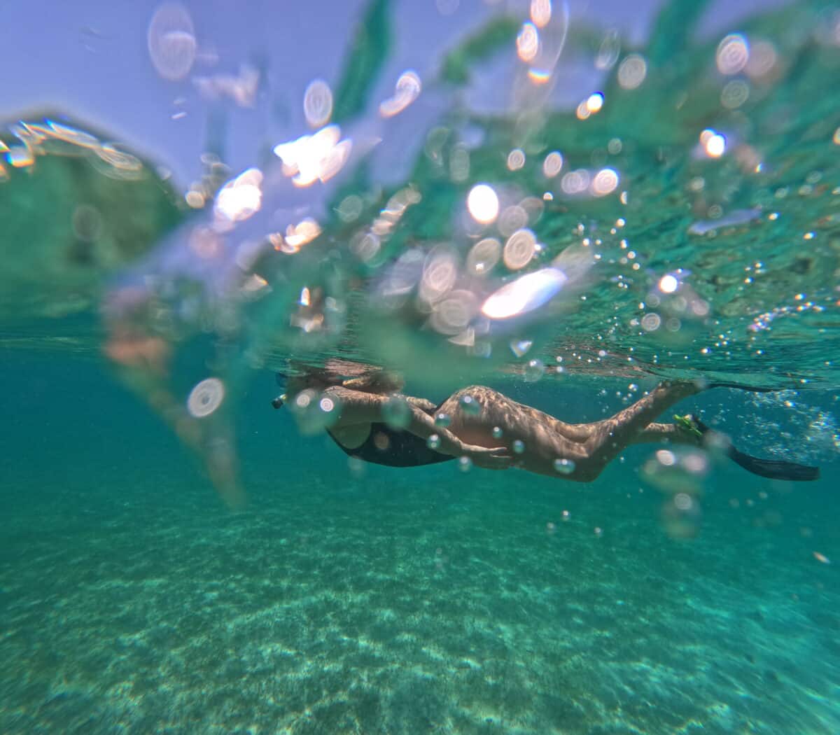 Plongée sous-marine dans les eaux cristallines de Madagascar avec vue sur les coraux.