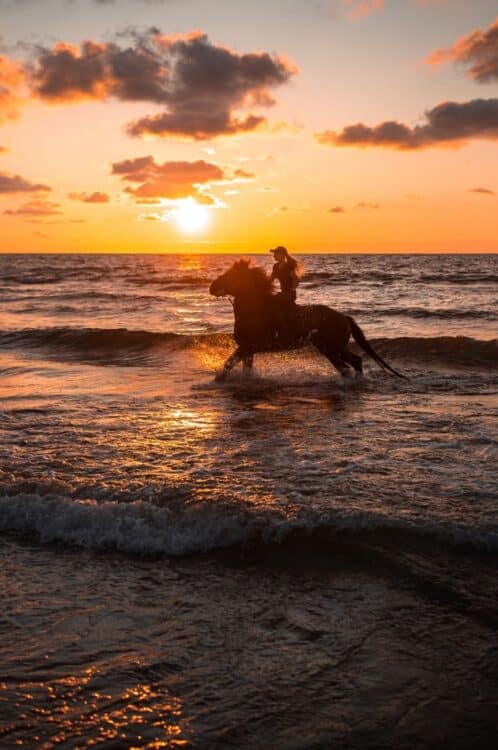 Cavalier traversant les vagues au coucher du soleil au Maroc.