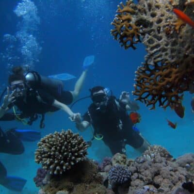 séjour plongée récifs coralliens mer rouge égypte