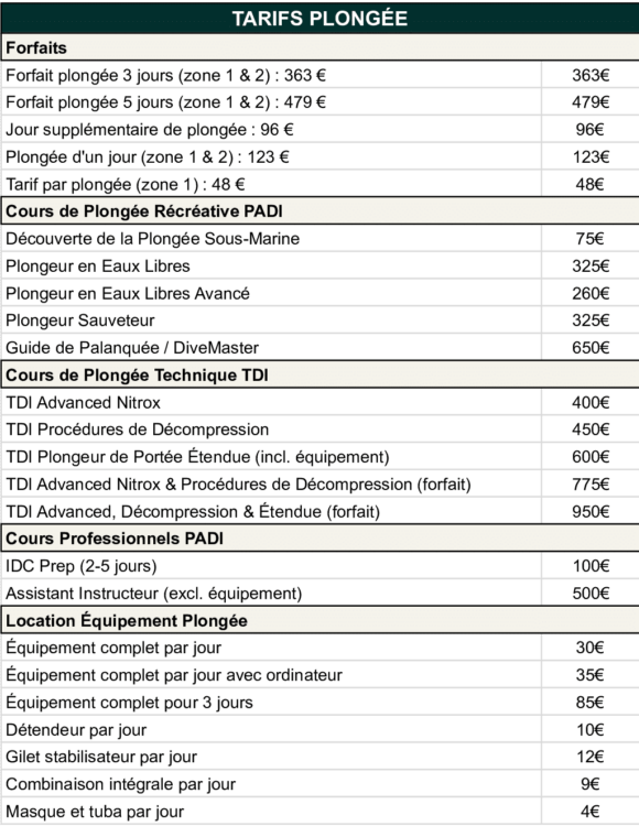 Tarifs des cours et locations de plongée en Égypte - Séjour en mer Rouge, Wadi Lahami (2025)