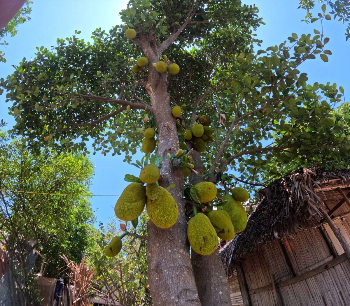 Village traditionnel sous le soleil à Madagascar.