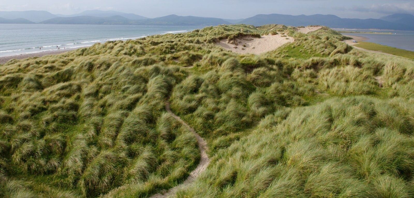 Dunes et Plages Irlandaises à Dingle