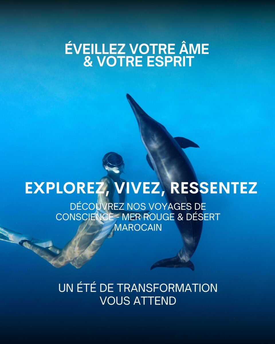 Nageurs et dauphins en Mer Rouge, illustrant un voyage de conscience et de transformation personnelle avec Atlantide Voyages.