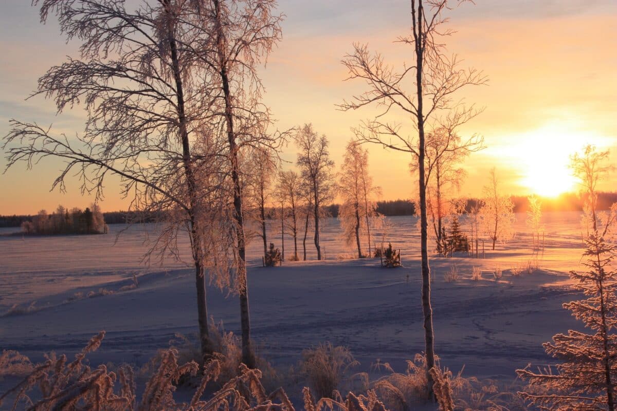 Coucher de soleil sur une forêt enneigée en Laponie