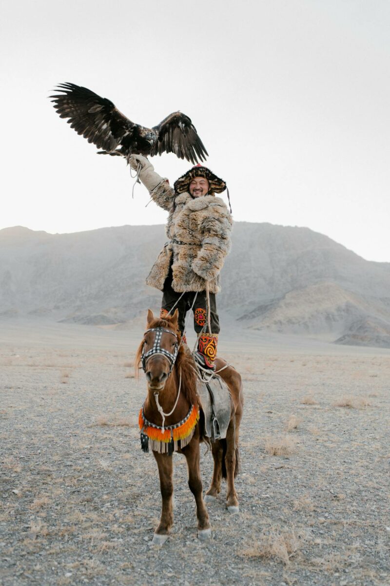 Chasseur d'aigles à cheval présentant son aigle en Mongolie