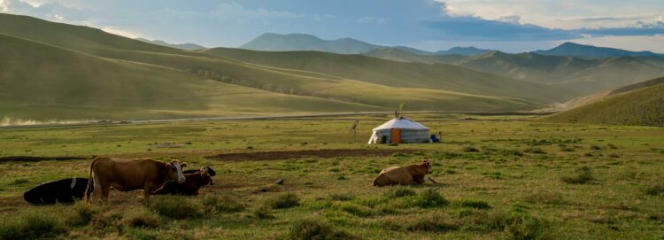 Yourte mongole traditionnelle dans l'immense steppe