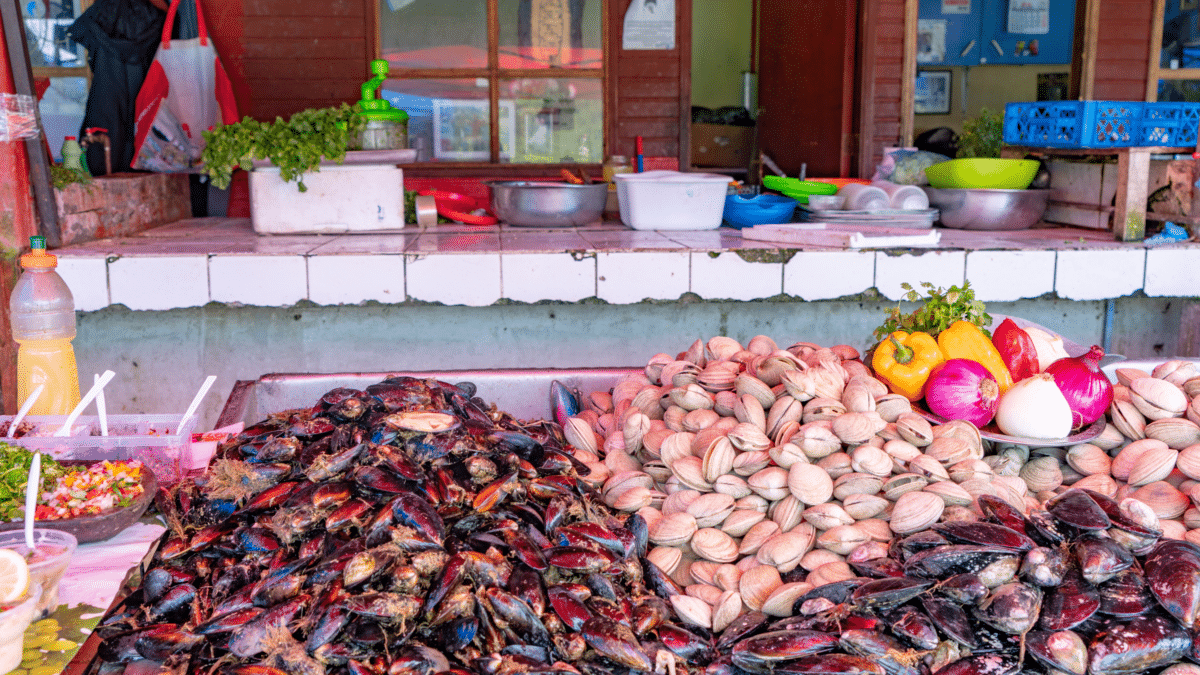 Étale de fruits de mer frais au marché d'Angelmo, Chiloe, Chili