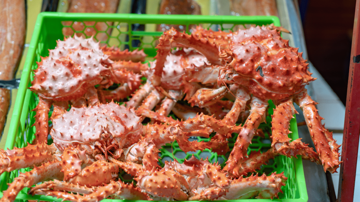 Crabes royaux au marché d'Angelmo, Chiloé