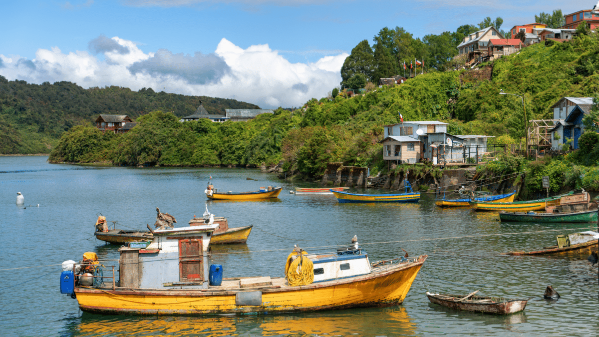 Bateaux de pêche colorés à Chiloé