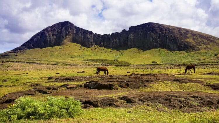 Un cheval broutant seul dans une vallée verdoyante de l'Île de Pâques avec une chaîne de montagnes en arrière-plan.