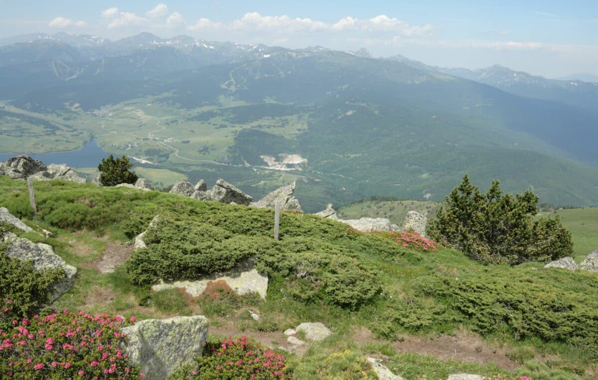 Vue panoramique sur la vallée du Capcir en été