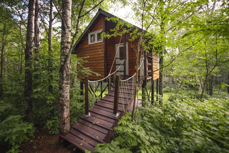 Cabane perchée en bois dans les arbres au cœur de la forêt du Canada.