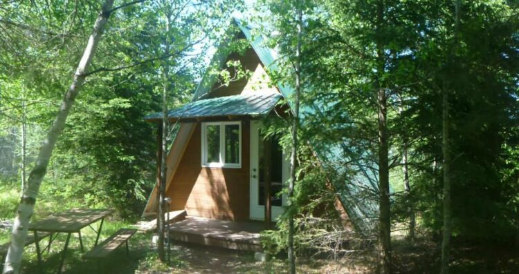 Cabane en bois dans la forêt canadienne, hébergement insolite pour un séjour nature.