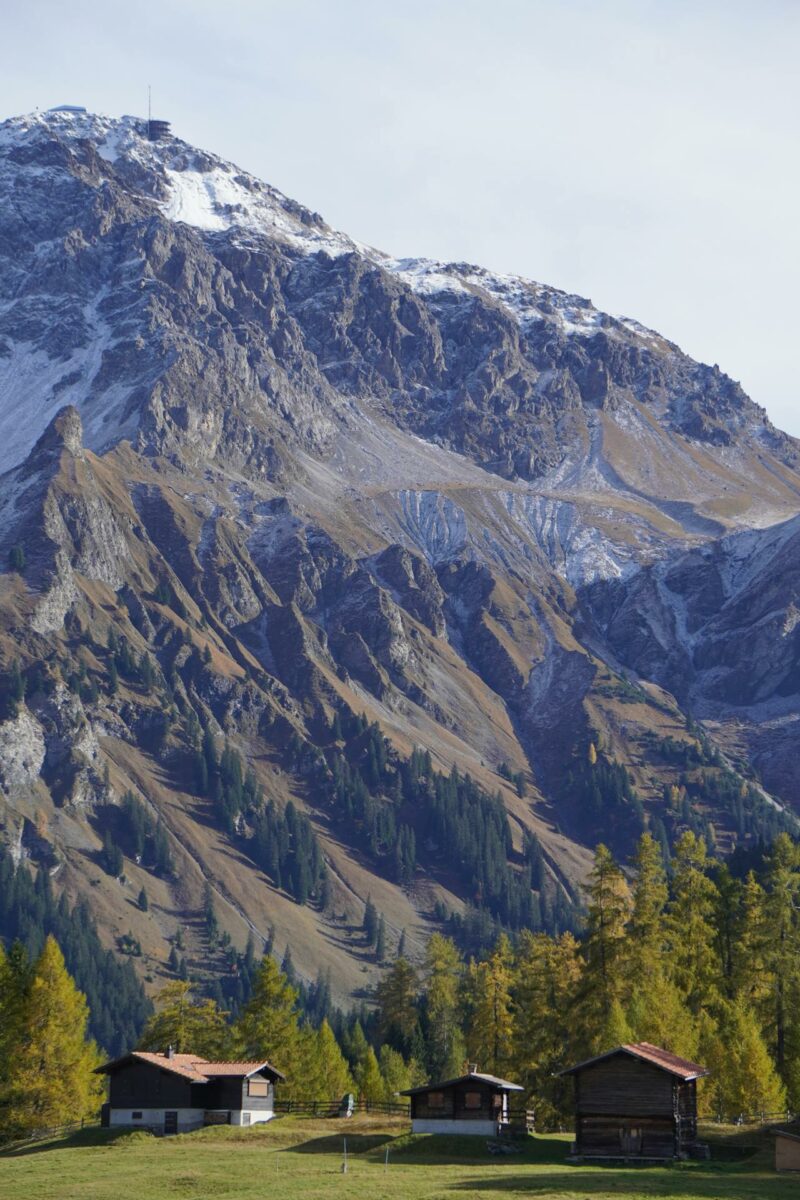 Séjour en chalet au cœur des Alpes suisses