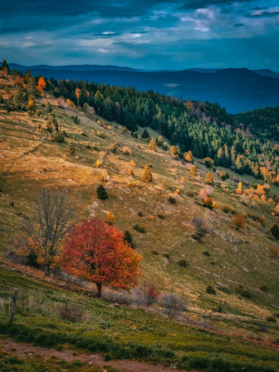 Paysage automnal dans les Vosges en Alsace