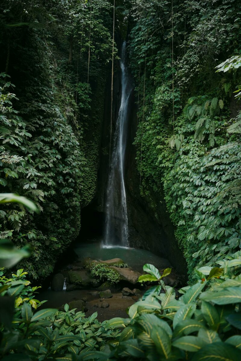 Cascade majestueuse en pleine forêt tropicale à Bali