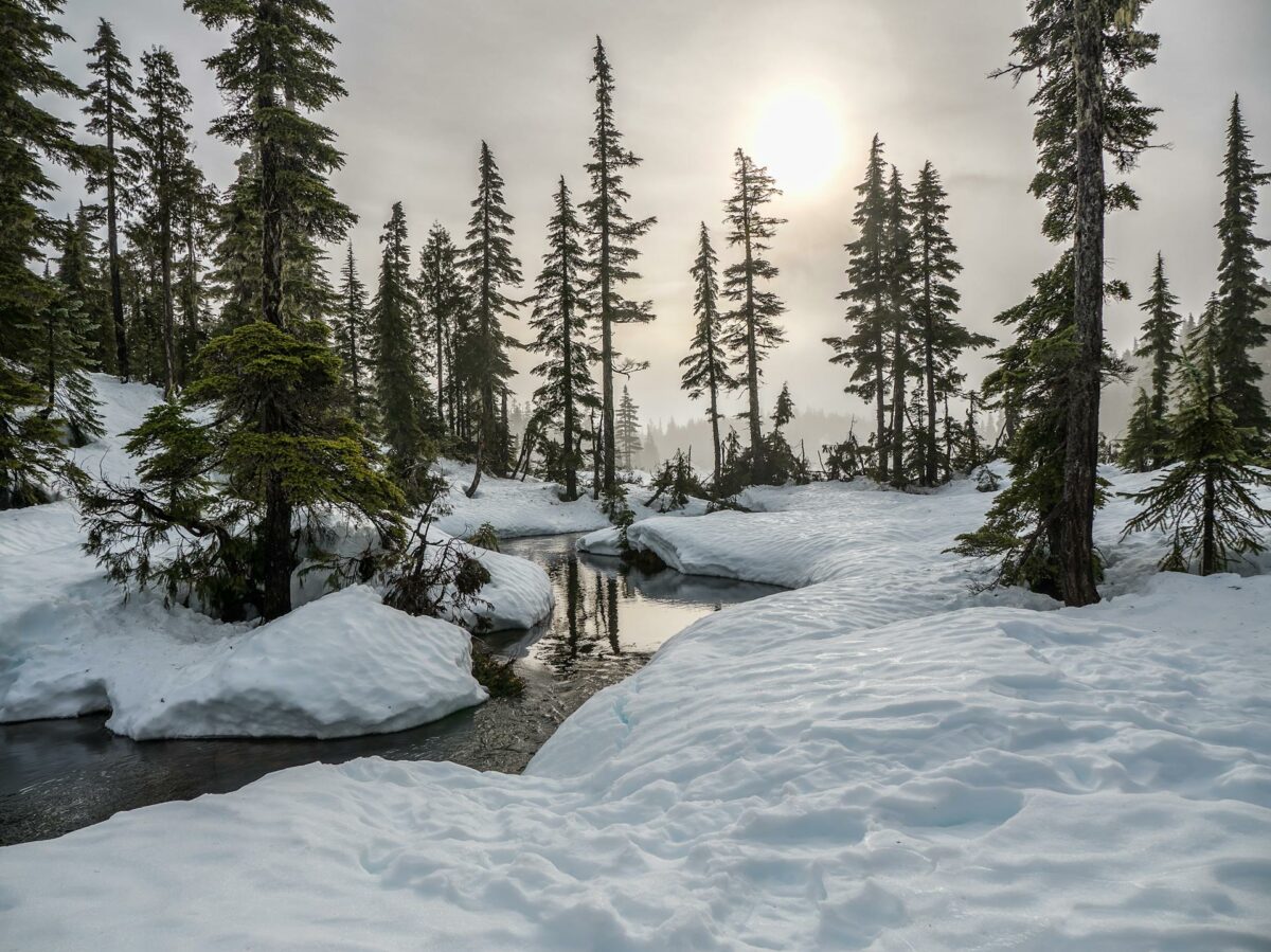 Forêt canadienne enneigée avec un ruisseau gelé