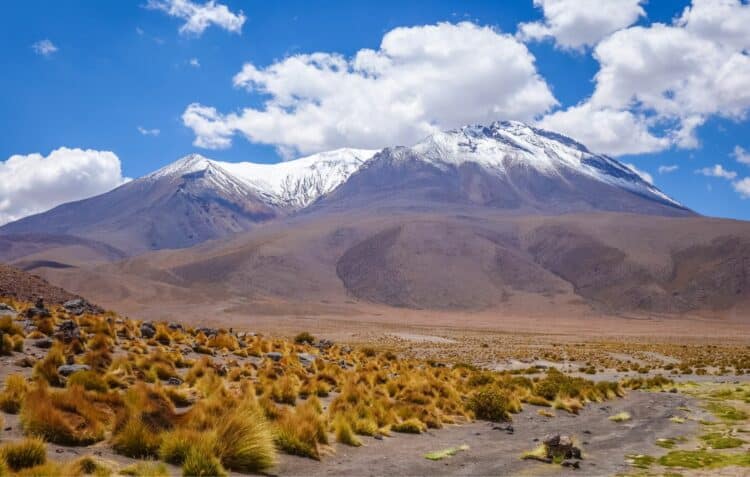 Montagne enneigée avec végétation dorée dans le Sud Lipez