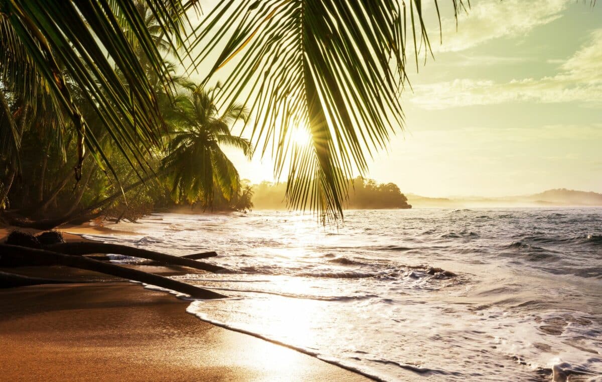 Coucher de soleil doré sur une plage isolée du Costa Rica, bordée de palmiers et de vagues douces.