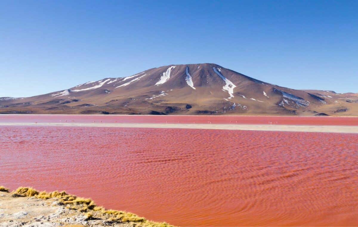 Eaux rouges de la Laguna Colorada avec des montagnes enneigées en arrière-plan.