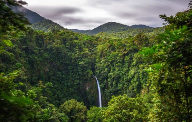 Cascade spectaculaire au milieu de la forêt tropicale du Costa Rica