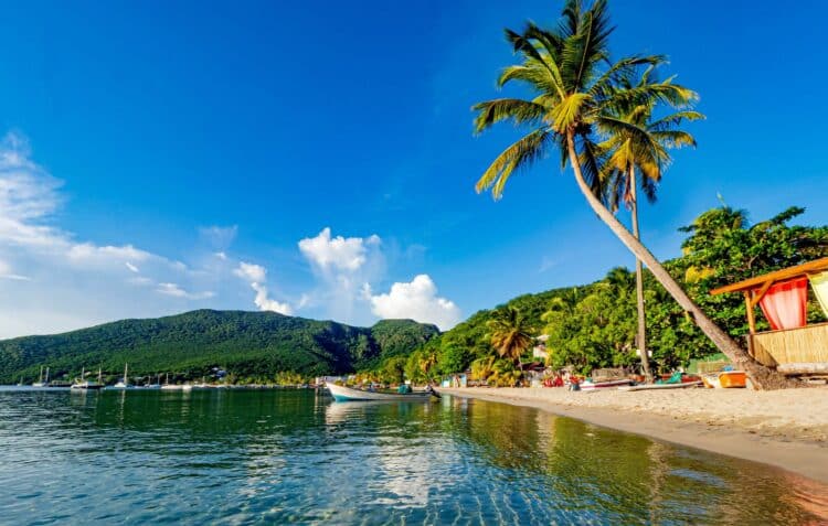 Plage des Saintes avec cocotier et eaux turquoise