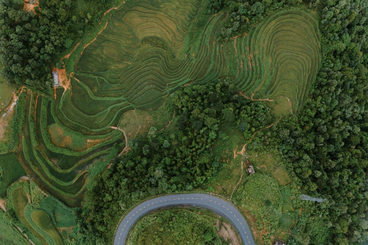 Vue aérienne des rizières en terrasses entourées de verdure à Cai Be, Vietnam