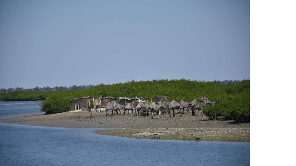 Cabane en bordure d'un fleuve au Sénégal.