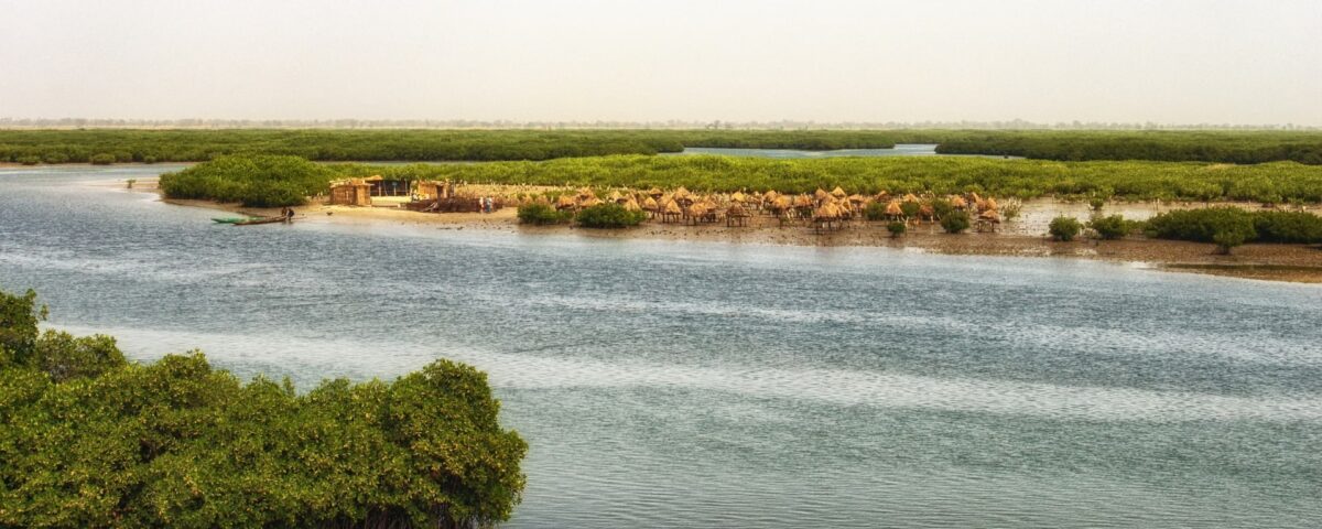 Vue aérienne d'un village sur pilotis dans les mangroves du Sénégal.