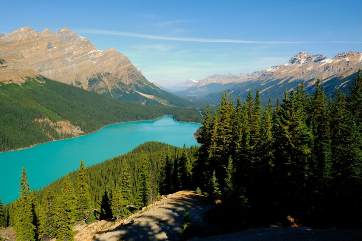 Vue panoramique du lac Peyto entouré de montagnes rocheuses.